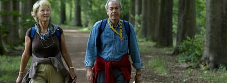 Historische wandelroute Planken Wambuis