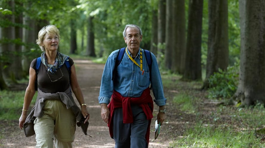 Historische wandelroute Planken Wambuis