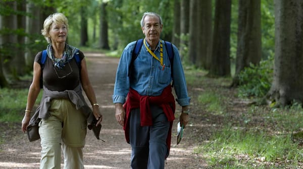 Historische wandelroute Planken Wambuis