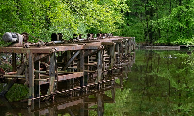 Natuurgebied Waterloopbos