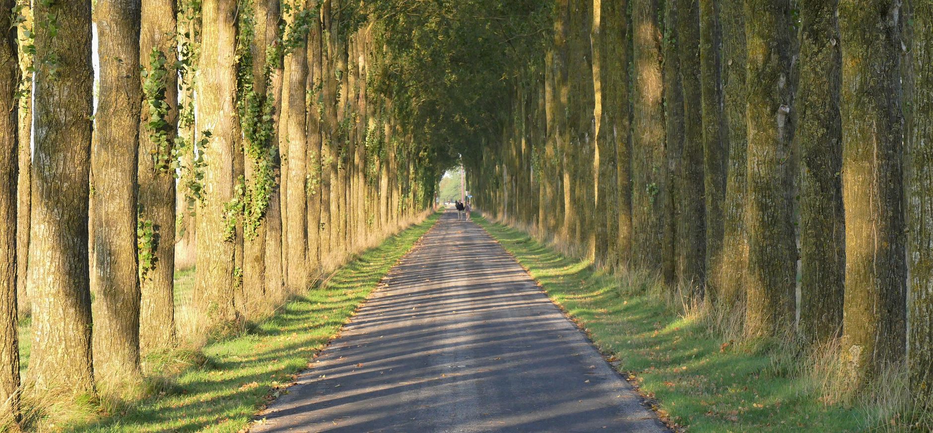 De Kardingermaar bij avondlicht