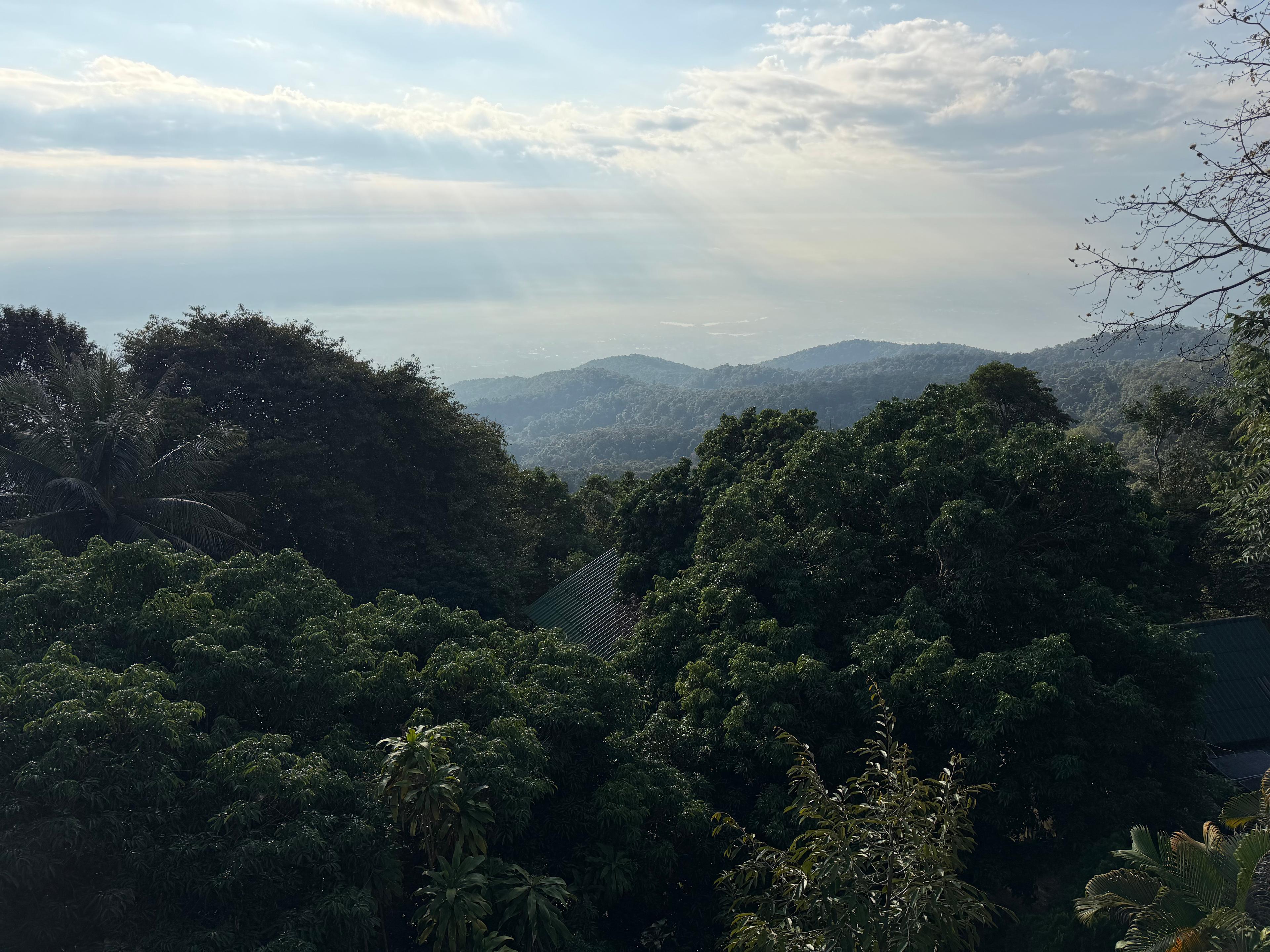 Forested hills above Chiang Mai