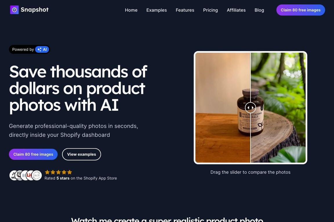 Snapshot AI