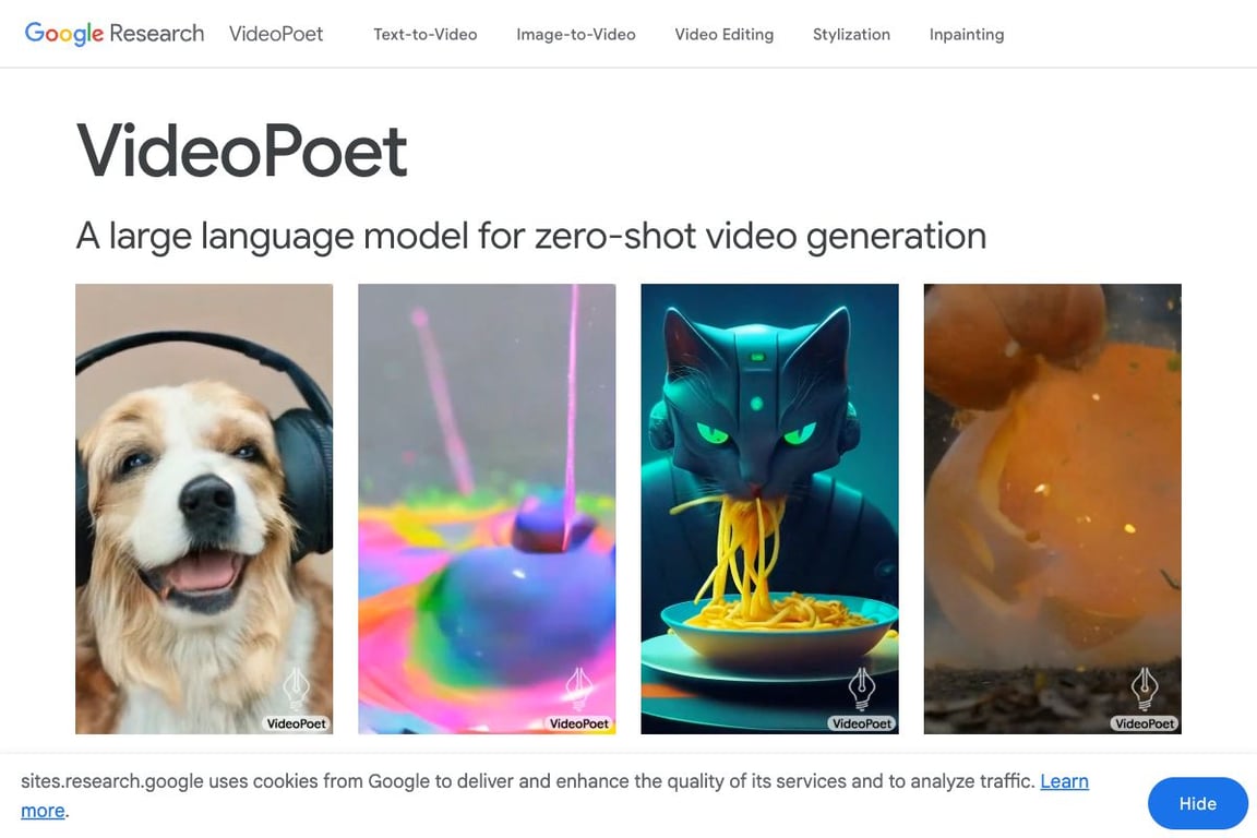VideoPoet