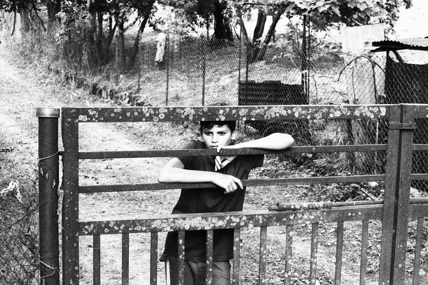 boy looking through fence