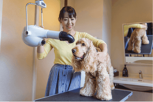 <p><span><strong>Equipped with a self-service shampoo room.</strong></span><br><span><strong>Even if it gets dirty while playing, you can rest assured.</strong></span></p>