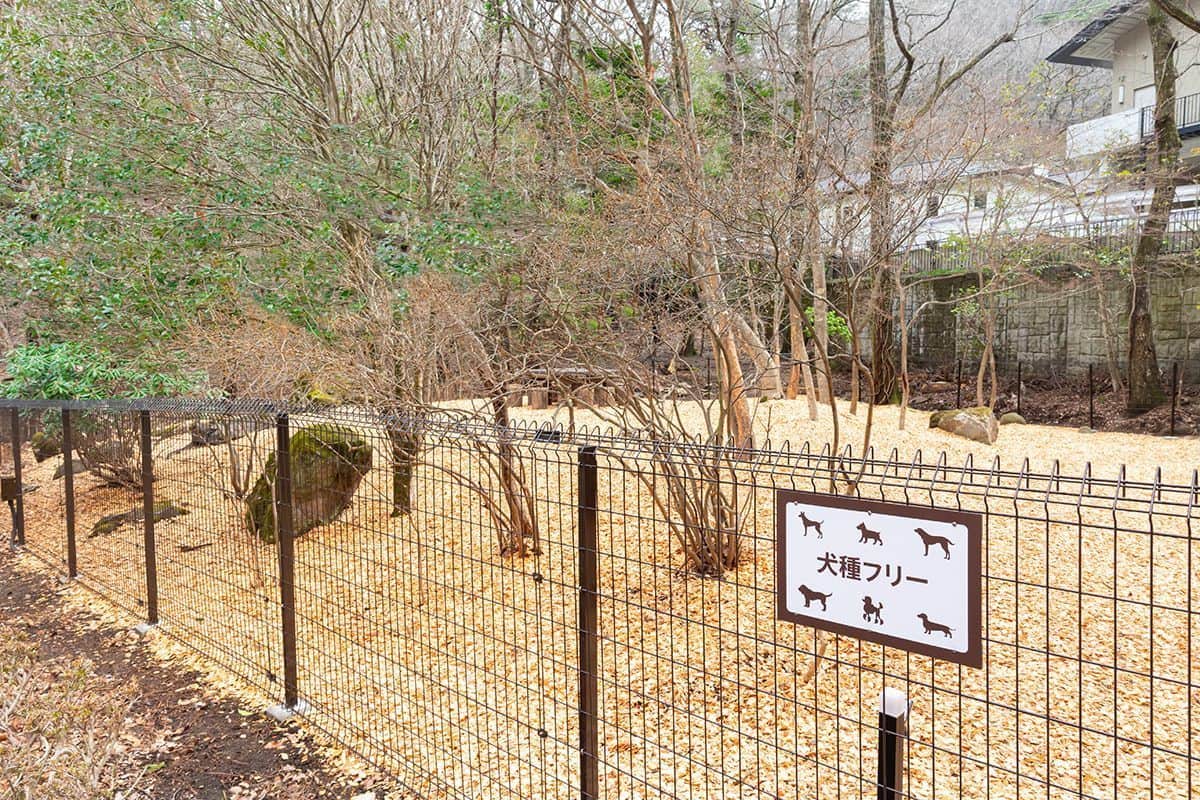 【NEW】DOG PARK（犬種フリー）