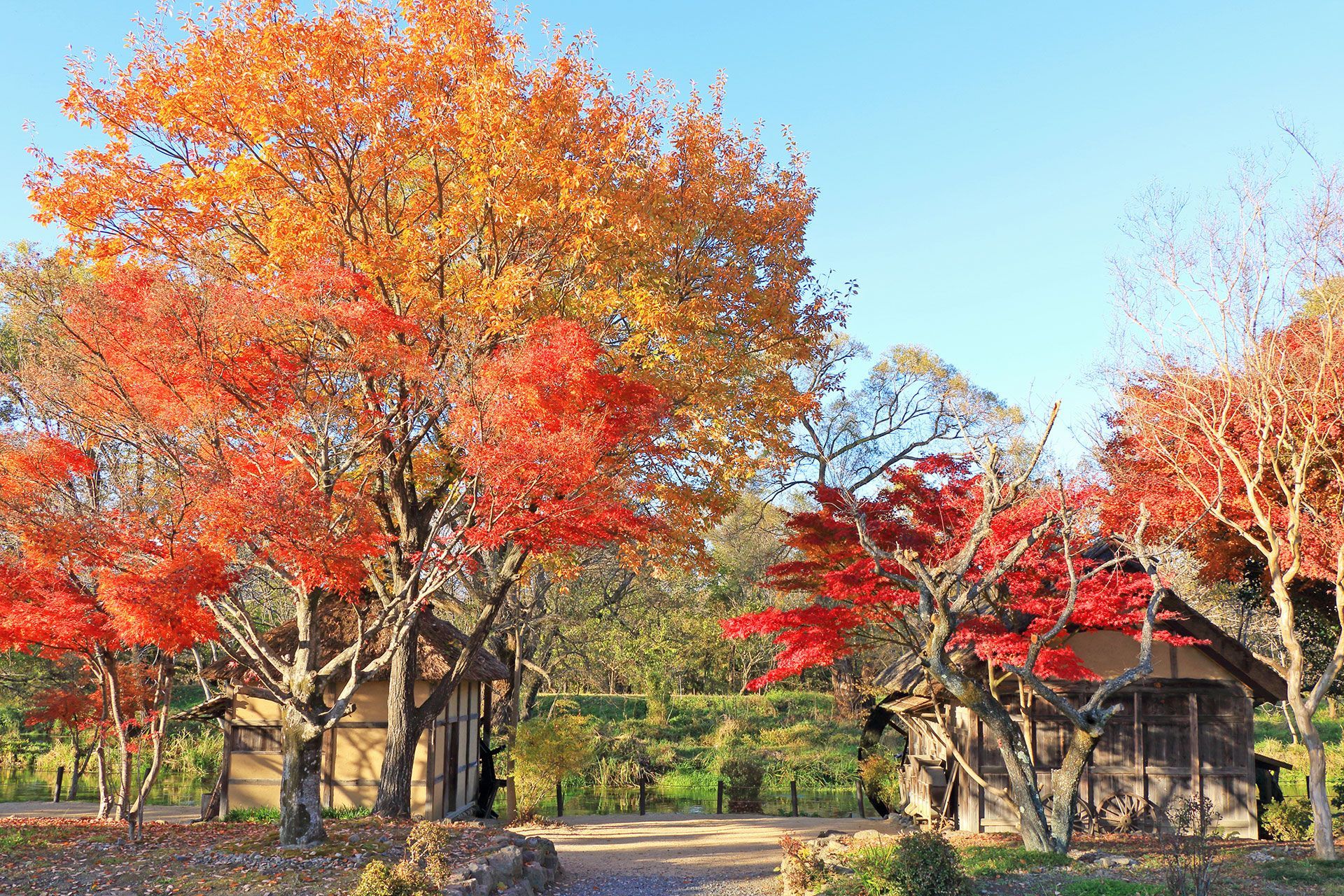 AUTUMN