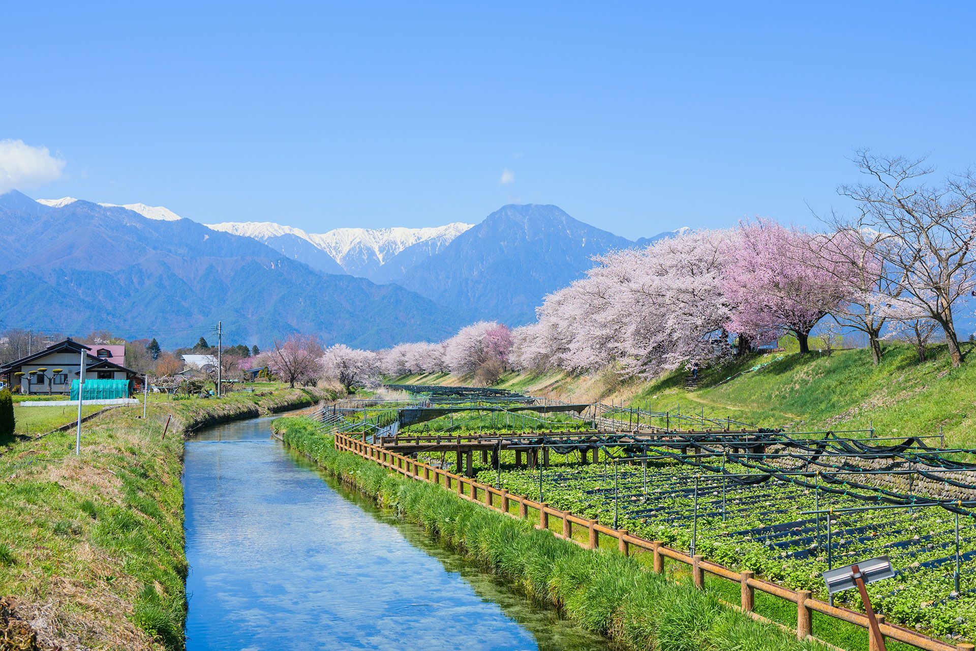 SPRING