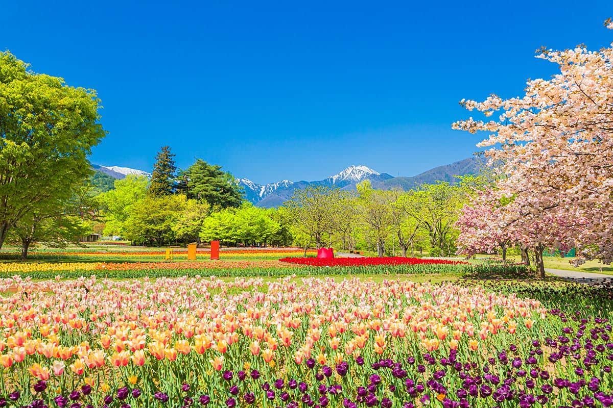 国営アルプスあづみの公園 堀金・穂高地区