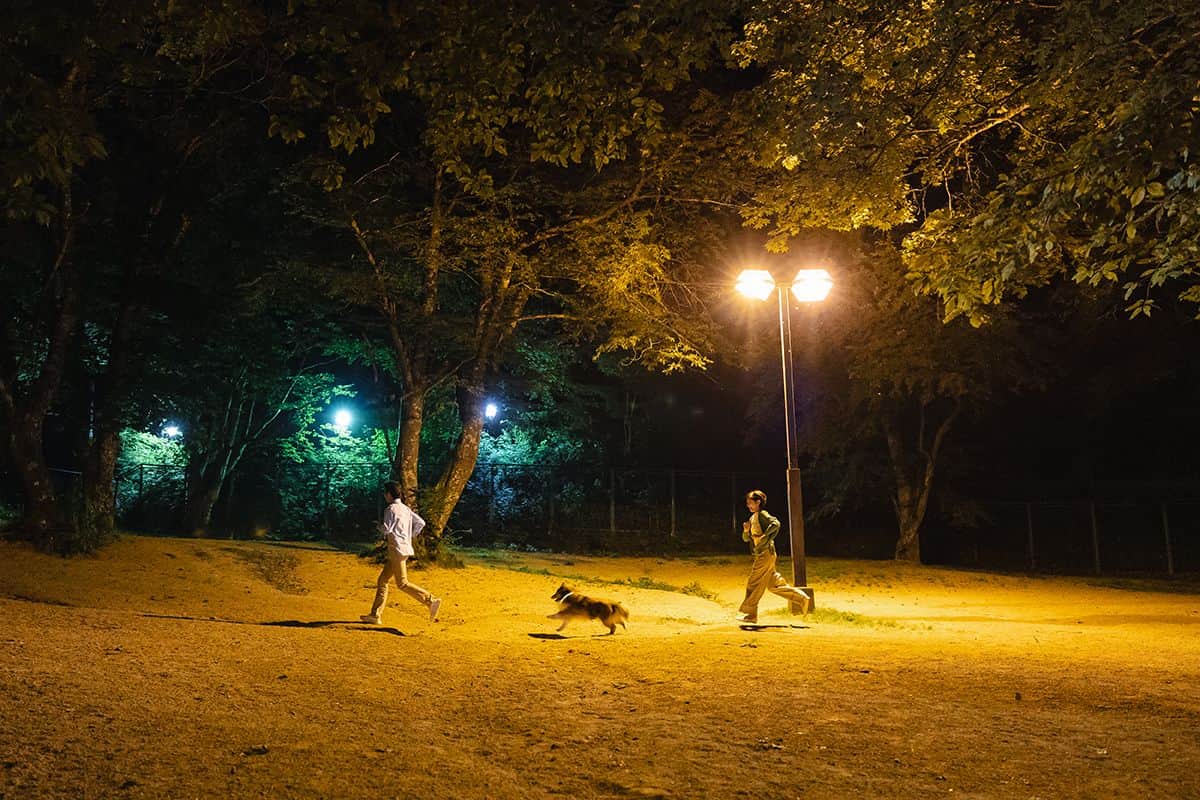 DOG PARK（中・大型犬優先）