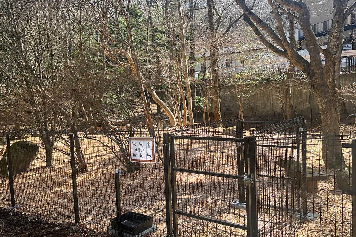 【NEW】DOG PARK（犬種フリー） - 0