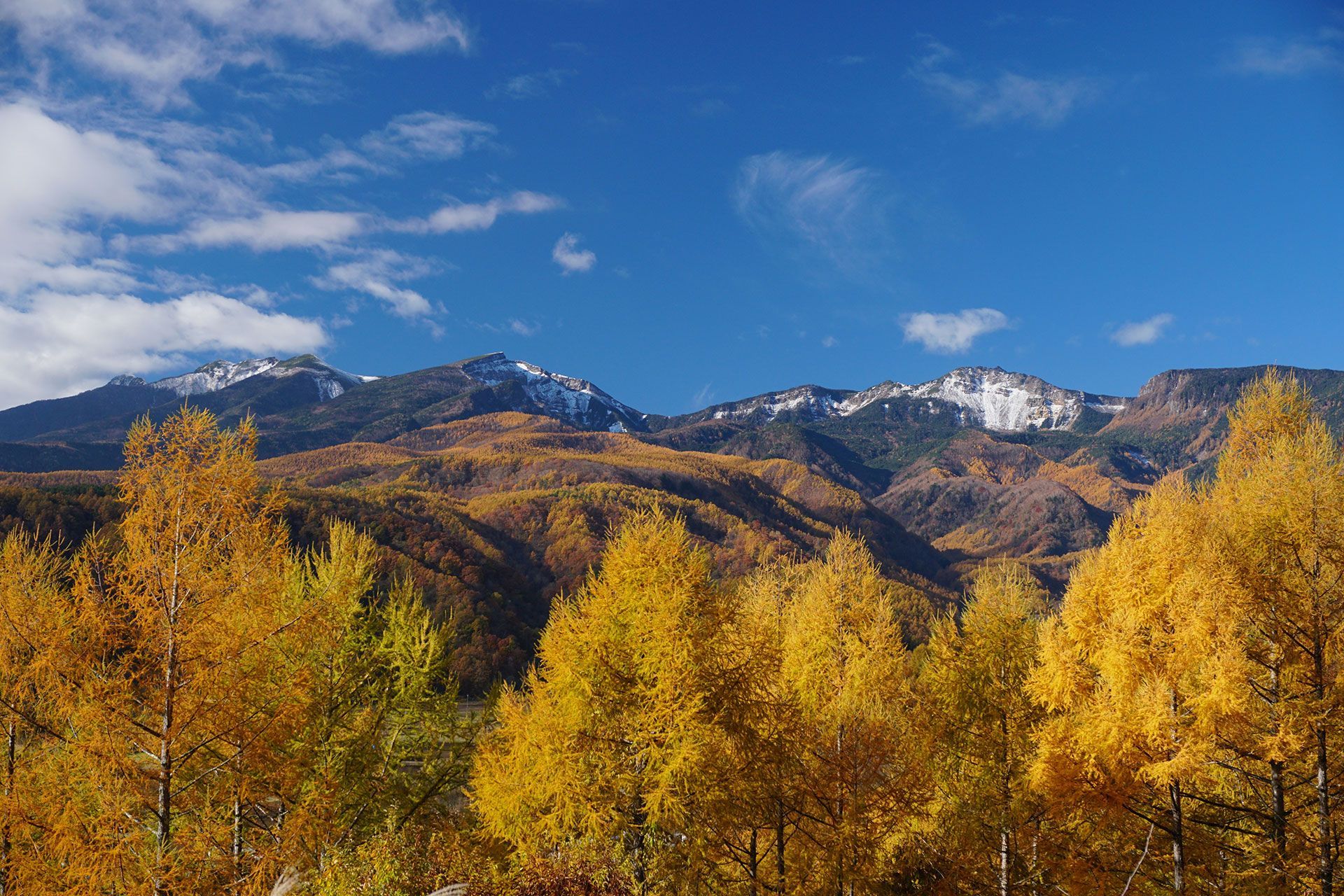 AUTUMN