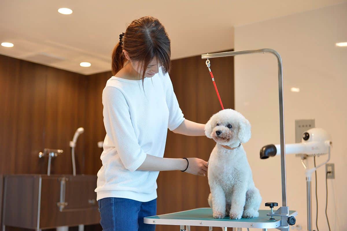 セルフグルーミングルーム - 0