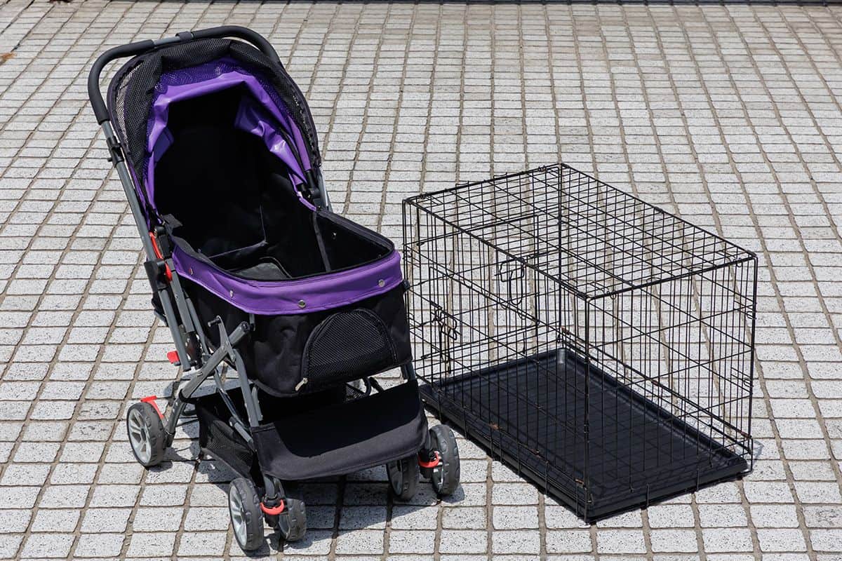 無料レンタル品 - 0