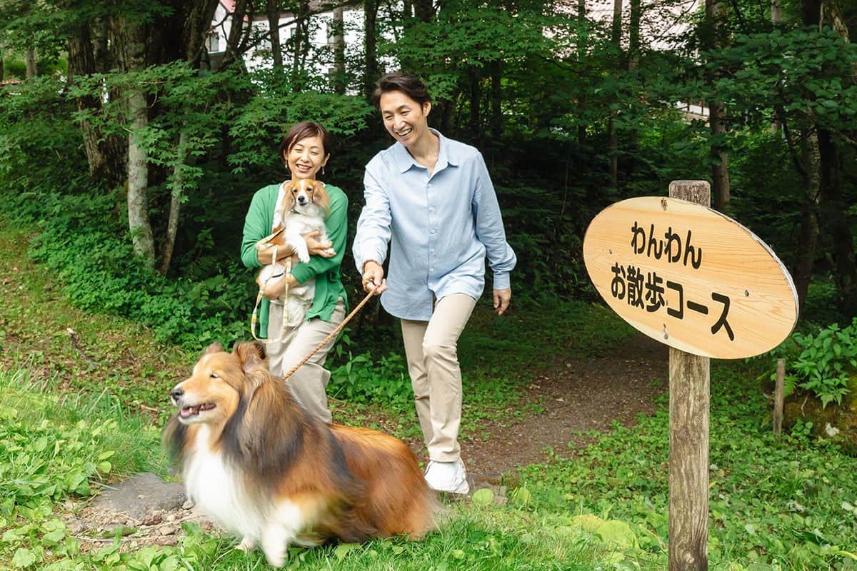 산책 코스