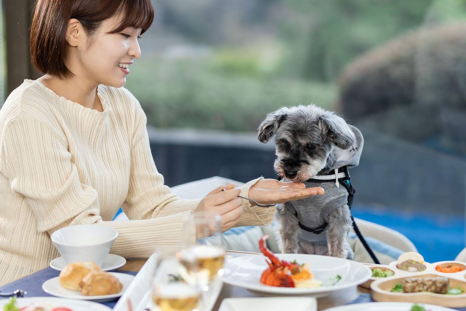 <p><span><strong>餐廳配備了牽引繩掛鉤和狗座椅，您可以帶著您的愛犬安心用餐。</strong></span></p>