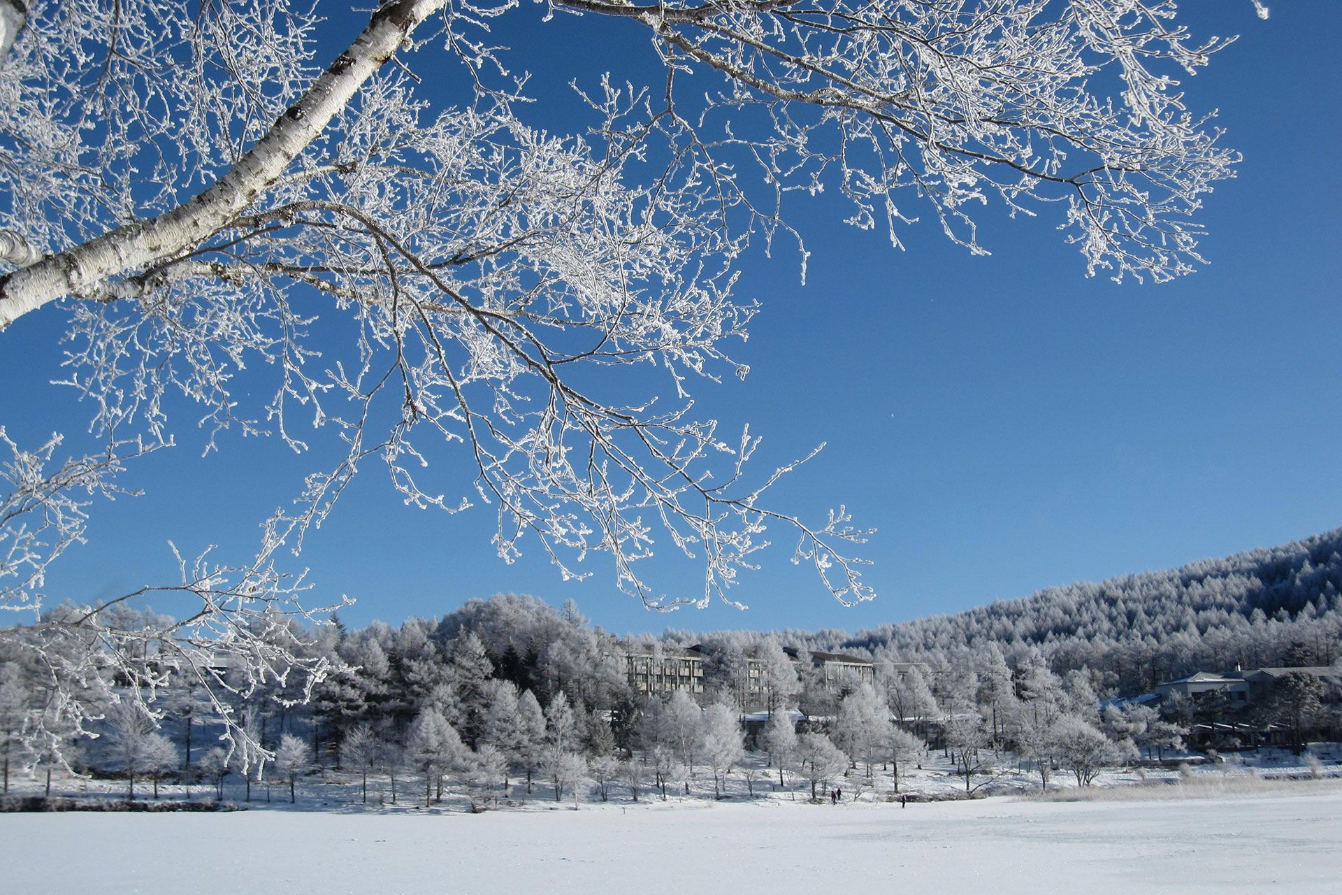WINTER