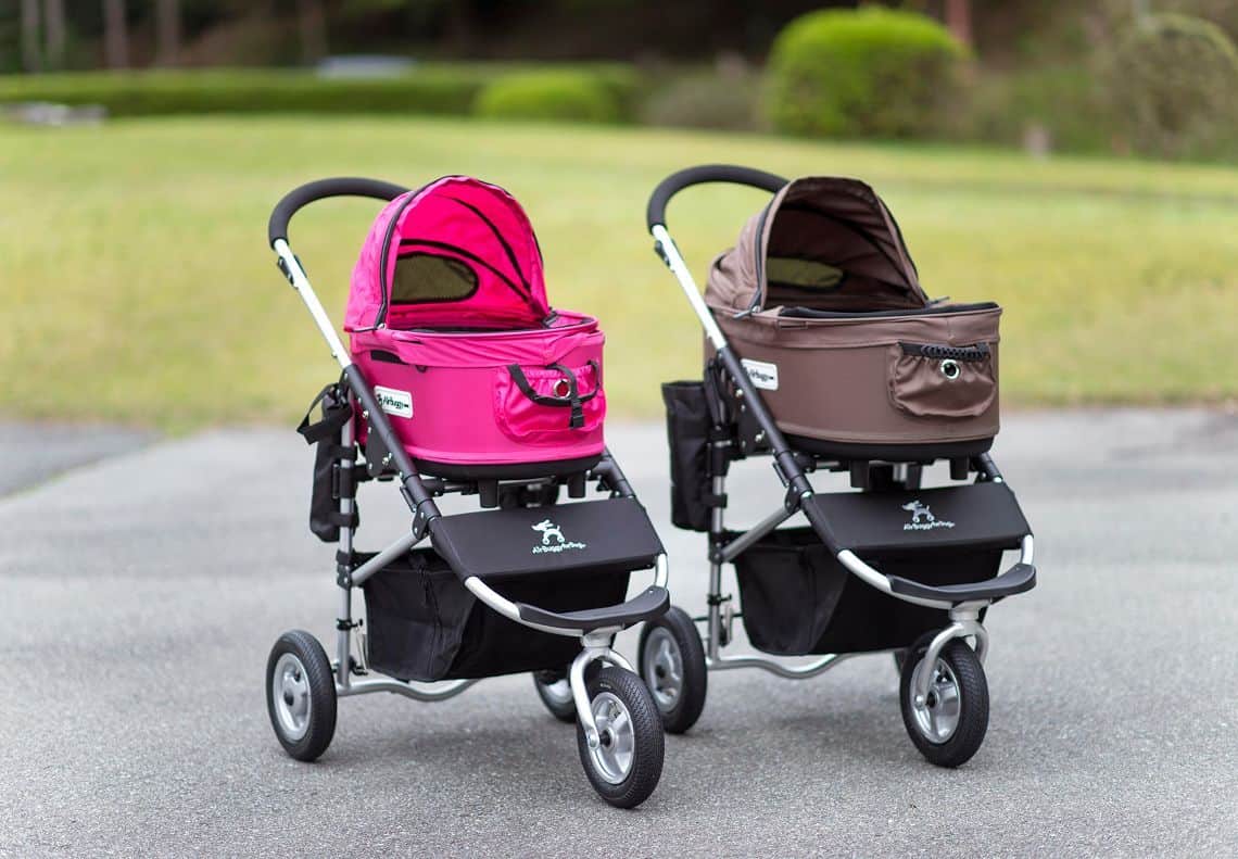 Buggy rental