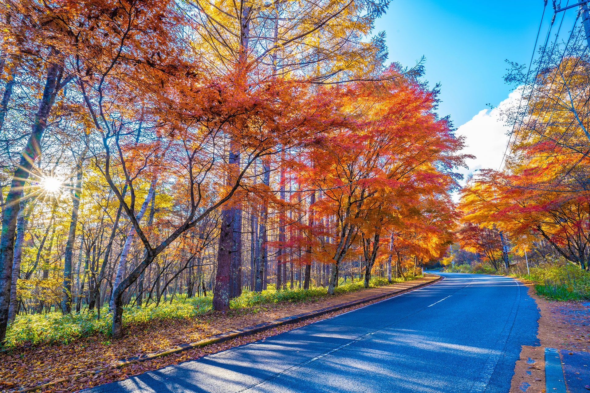 AUTUMN
