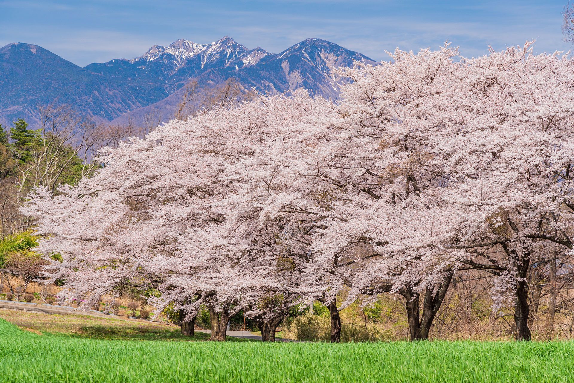 SPRING