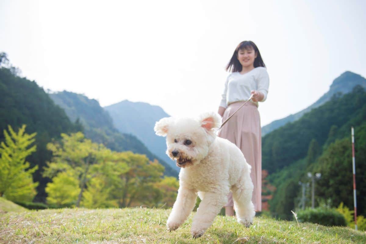 パターゴルフ18H