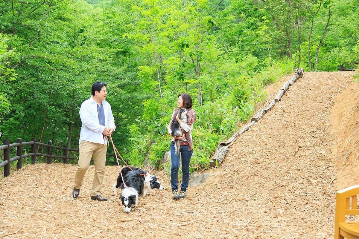 山上的散步道