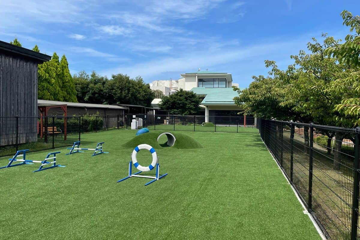 DOG PARK