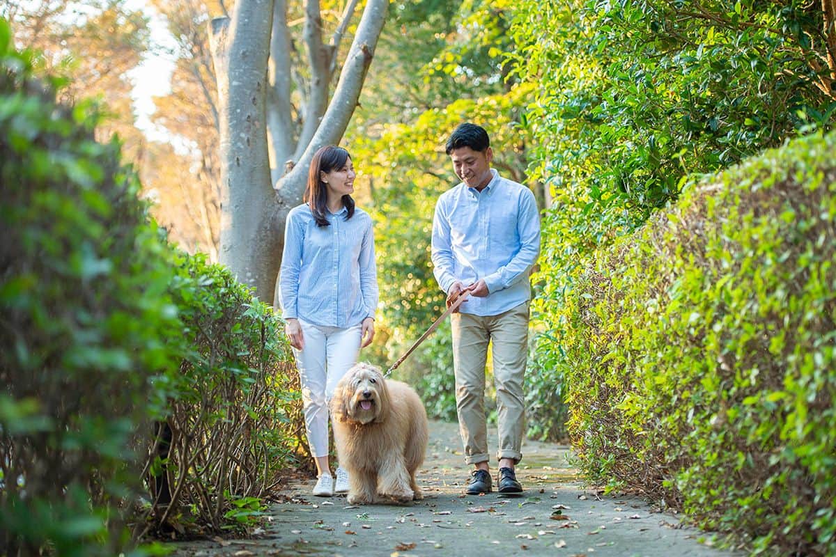 お散歩コース - 0