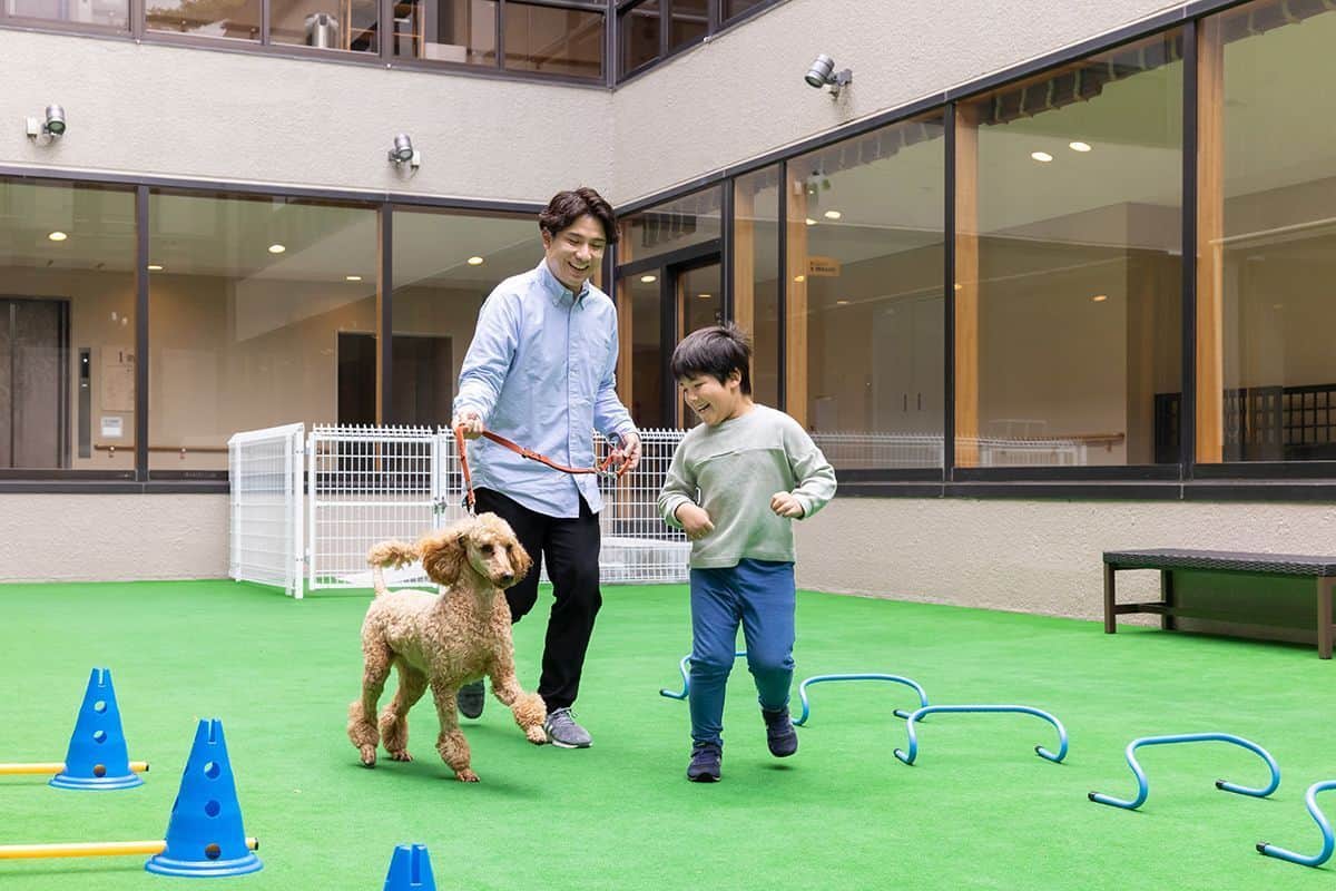 DOG TERRACE
