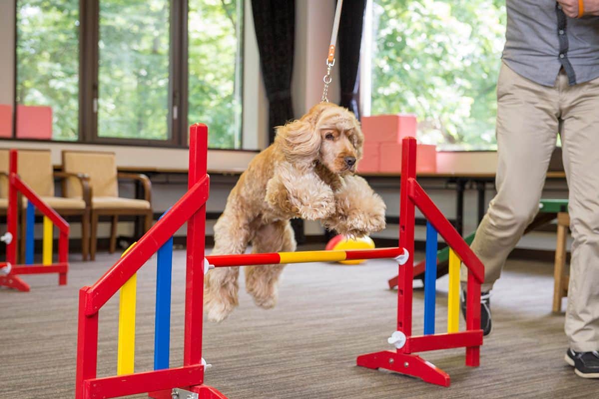 Indoor Play Space