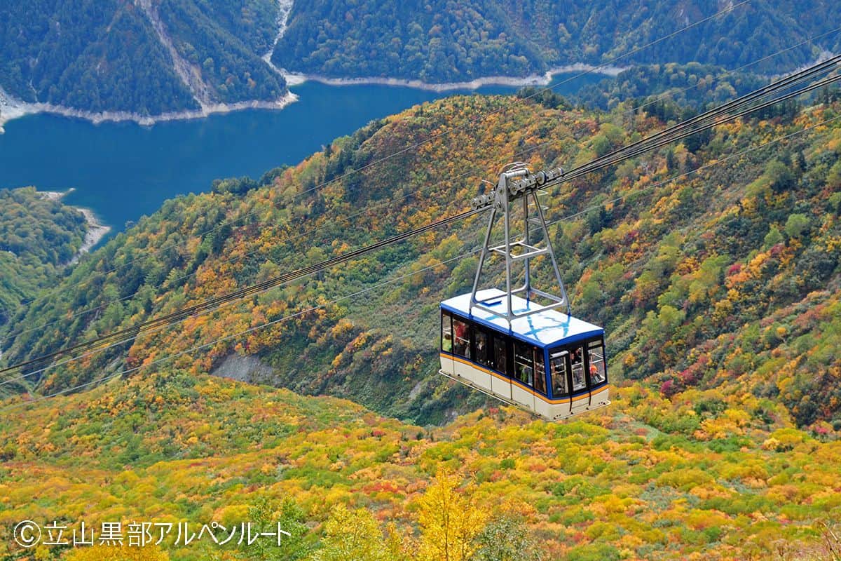 【出租车方案】 立山黑部阿尔卑斯路线室堂折返