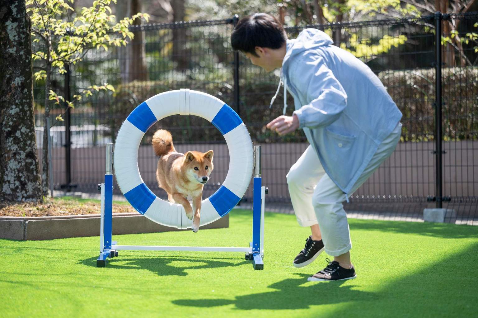 DOG PARK (Hotel Courtyard)
