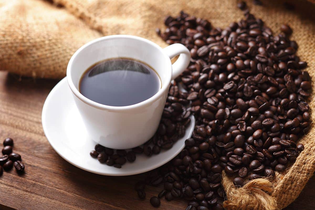 SEAGAIA ROASTERY - 1