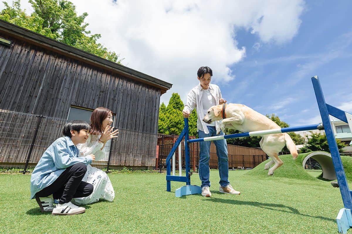 DOG PARK