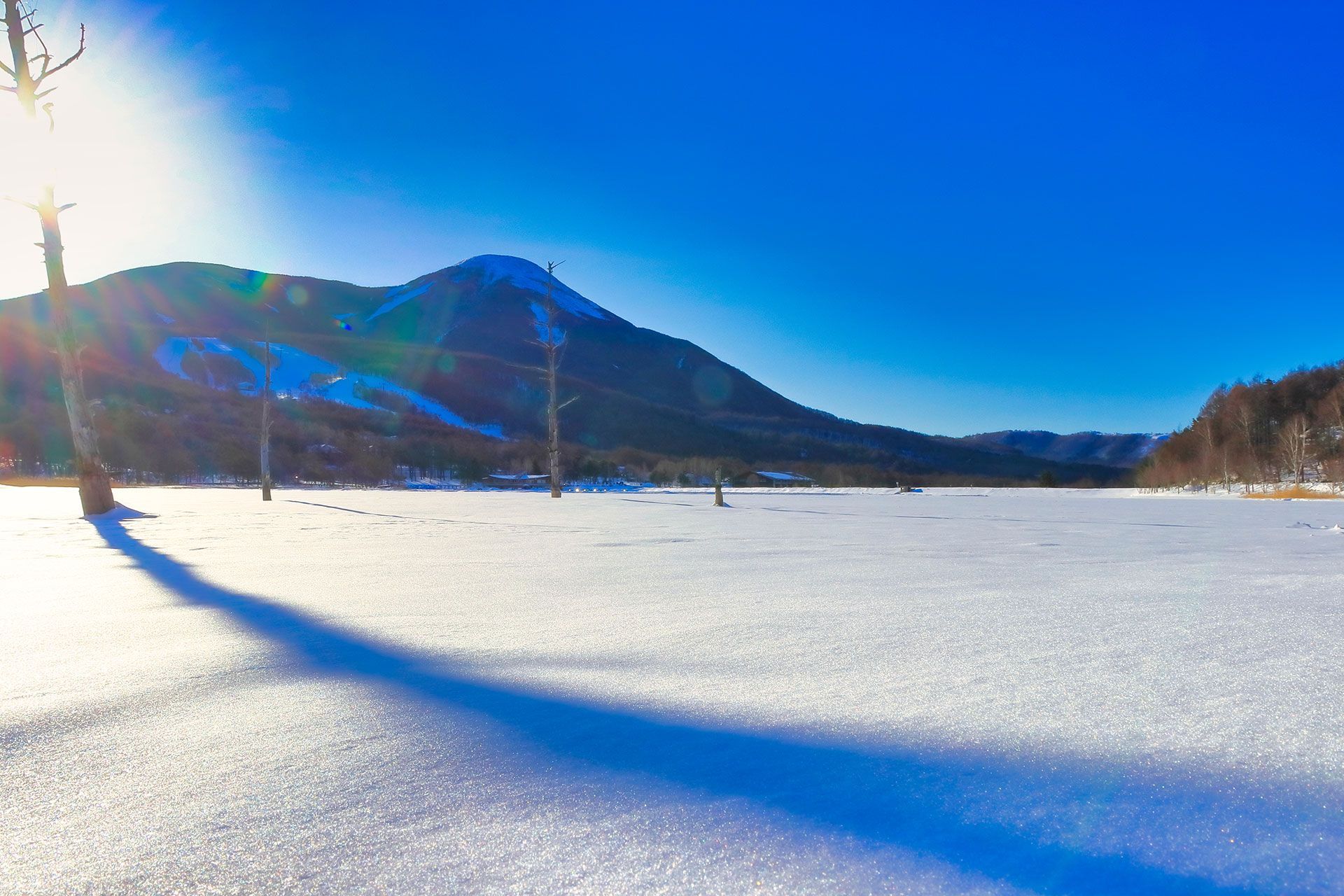 WINTER
