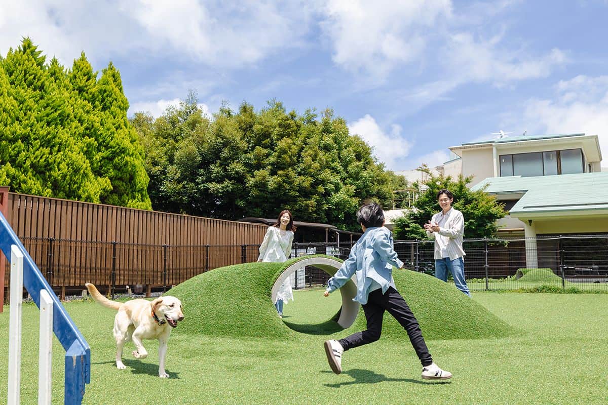 DOG PARK