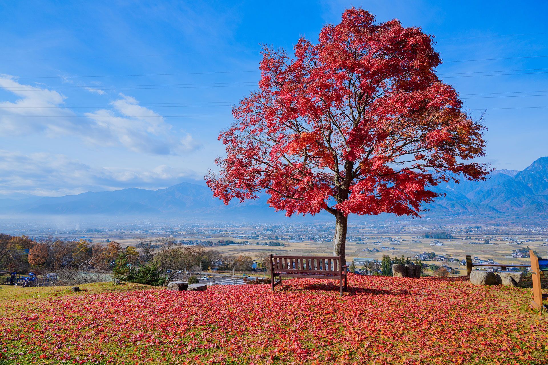 AUTUMN