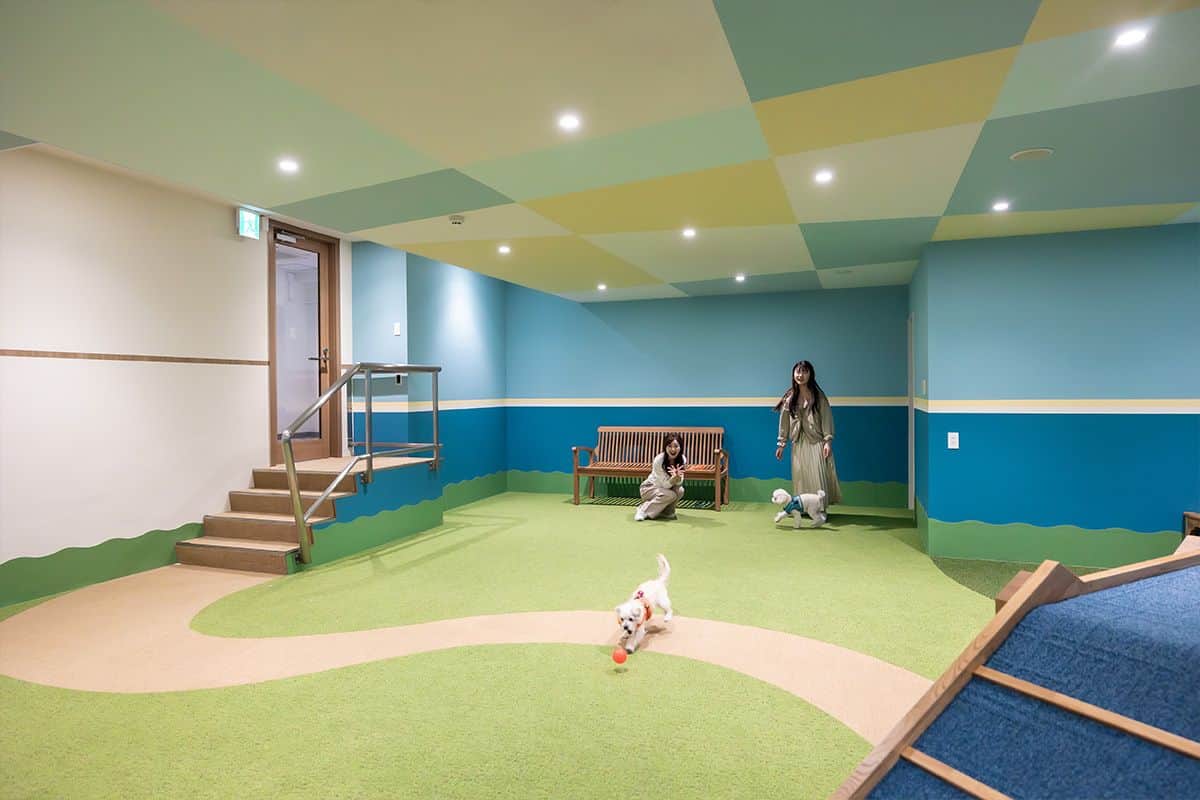 Indoor Play Space- 1