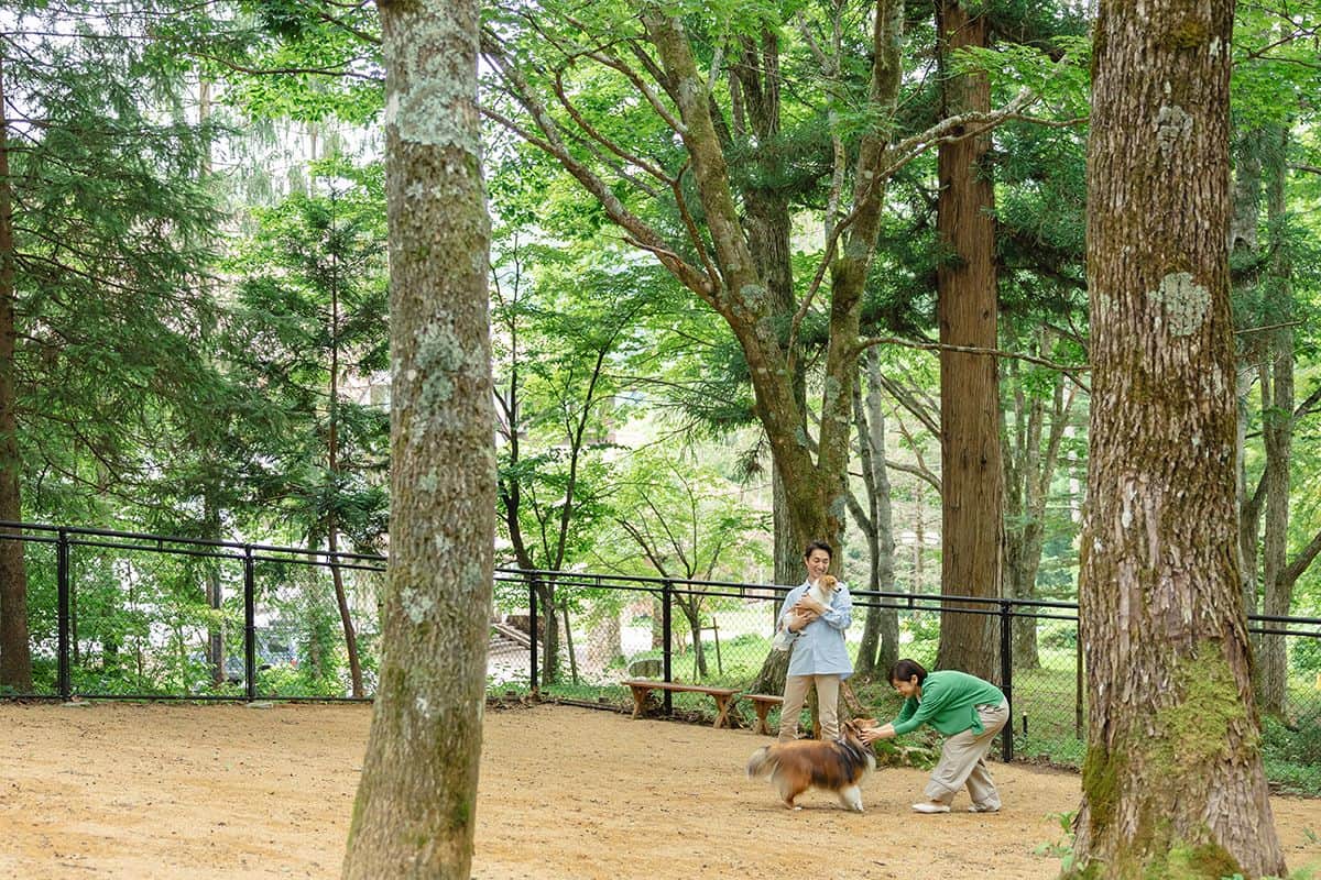 DOG PARK (소형견 우선)