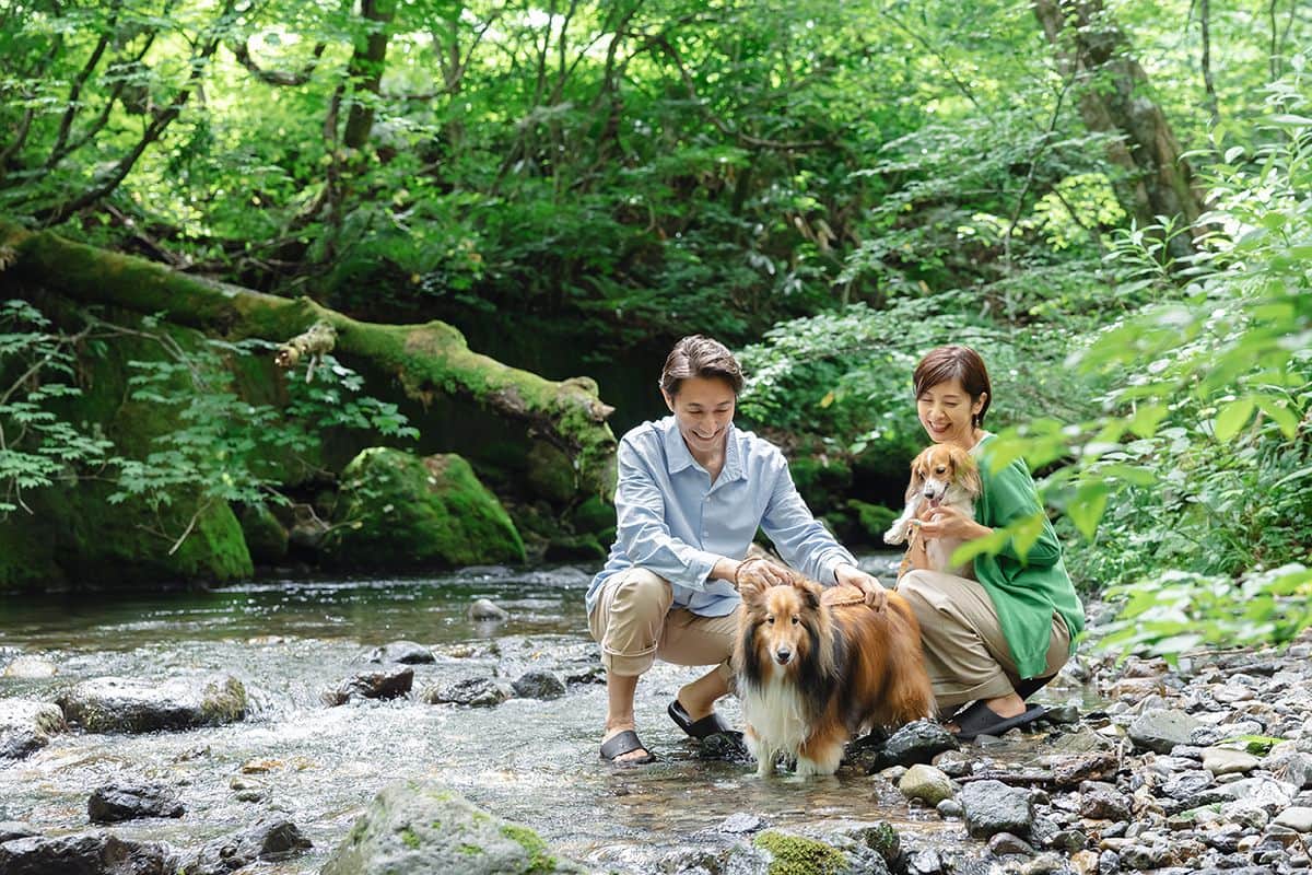 청류 쿠테가와