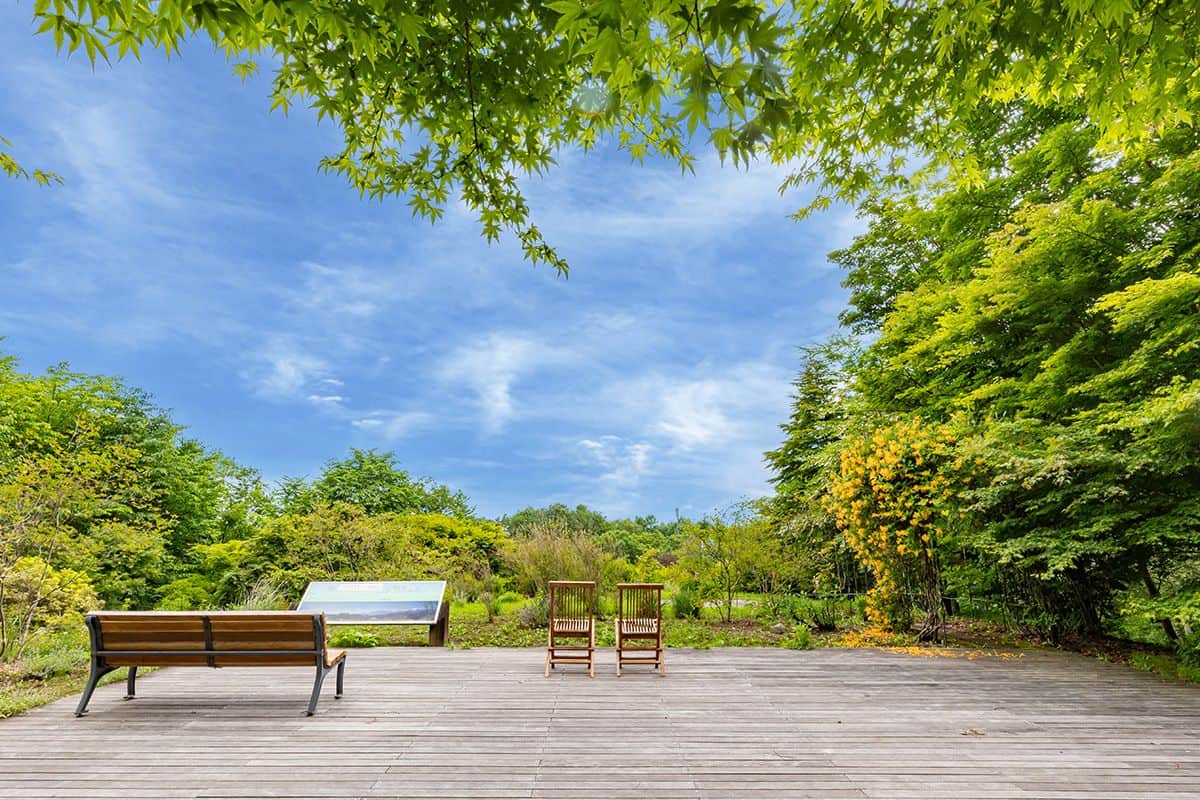 見晴らしの丘 - 0