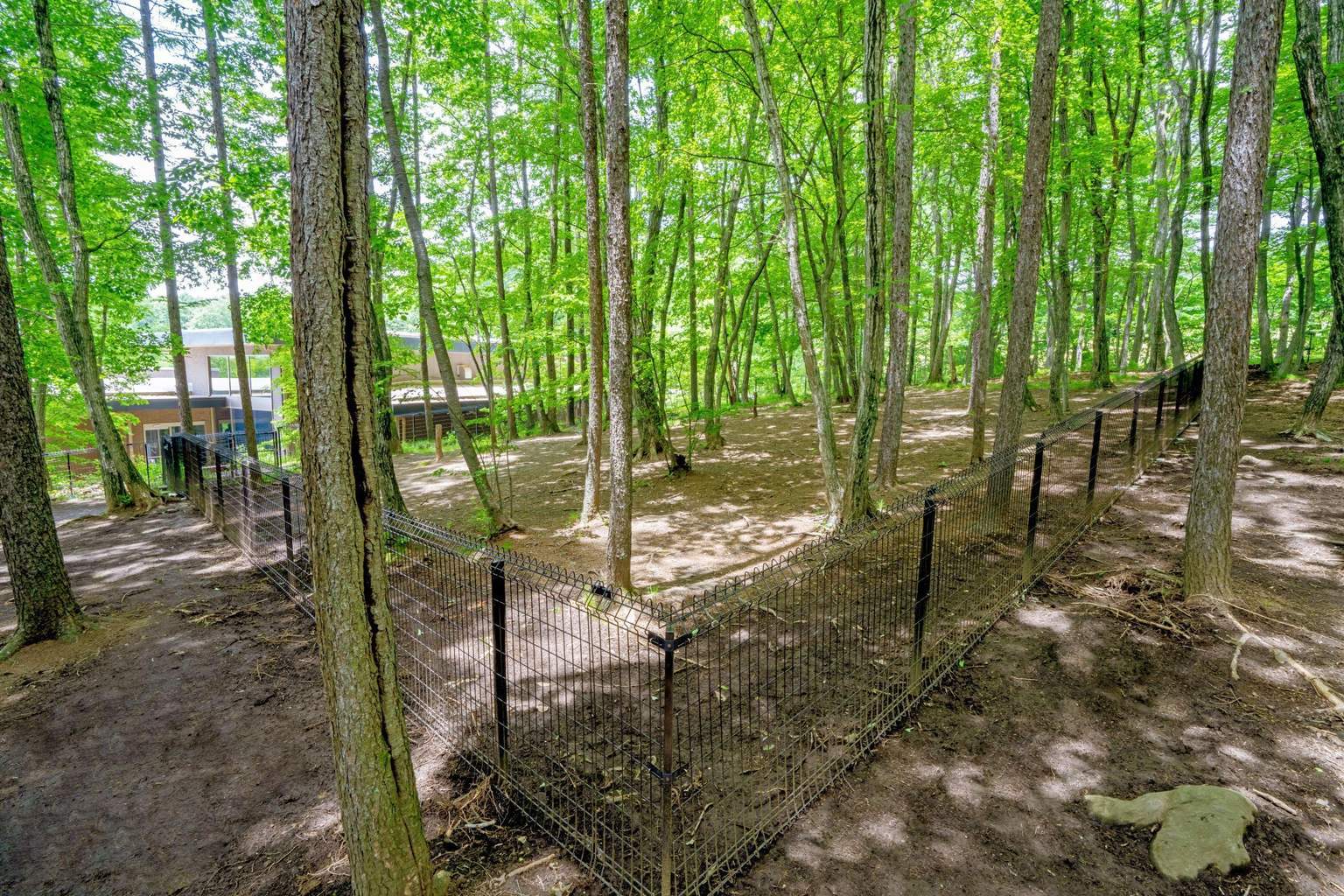 DOG PARK
