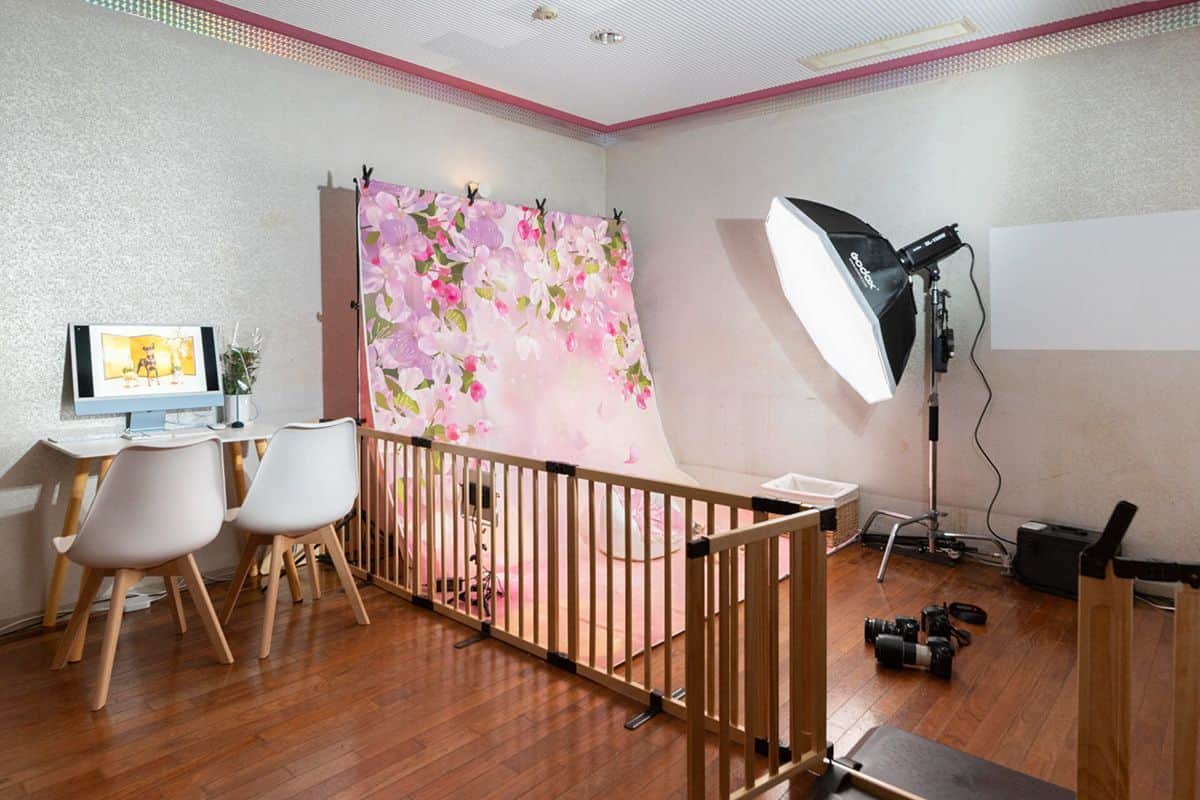 Dog Photo Studio