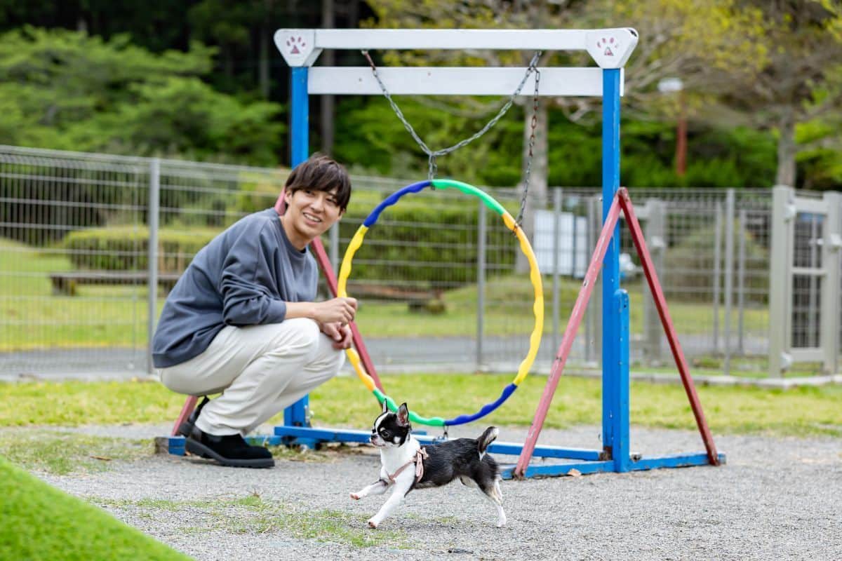 DOG PARK 清流（アジリティ付）