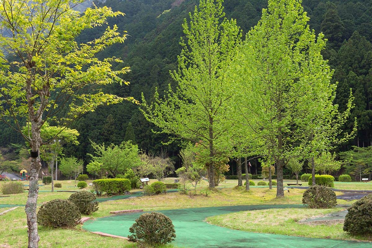 パターゴルフ18H - 0