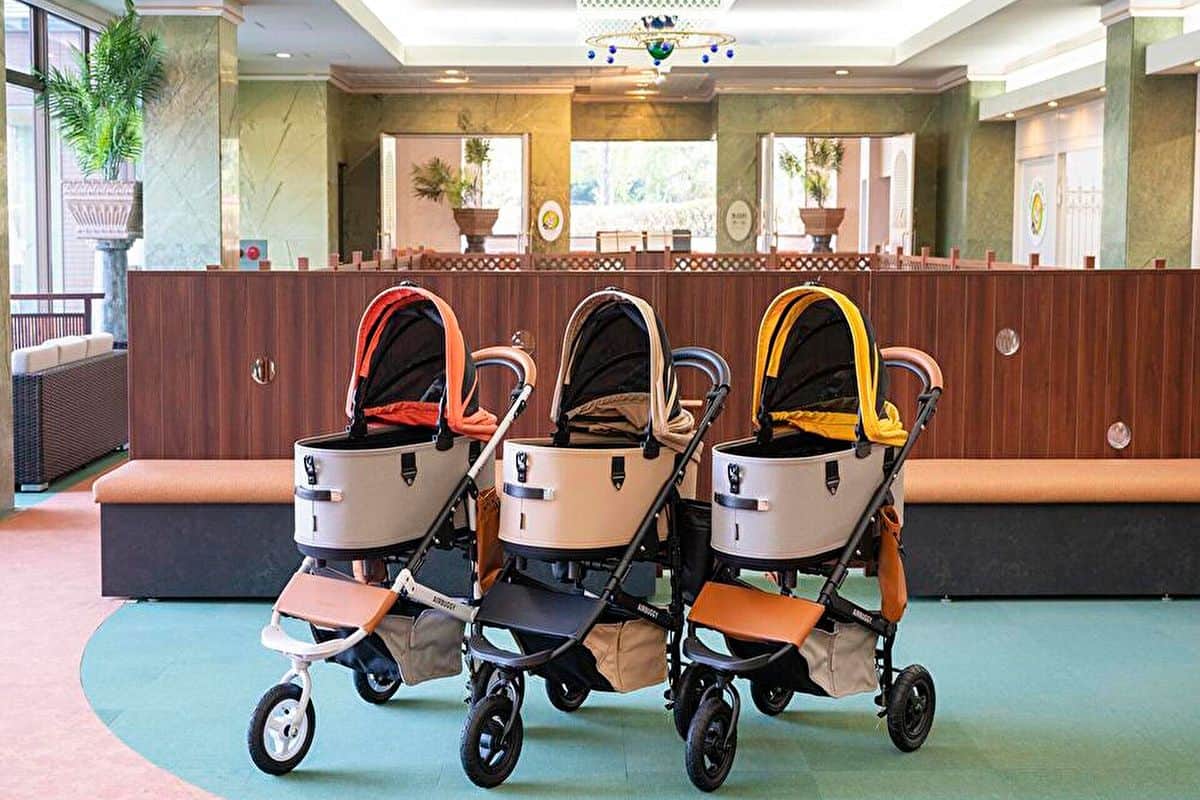 わんちゃん用カート - 0