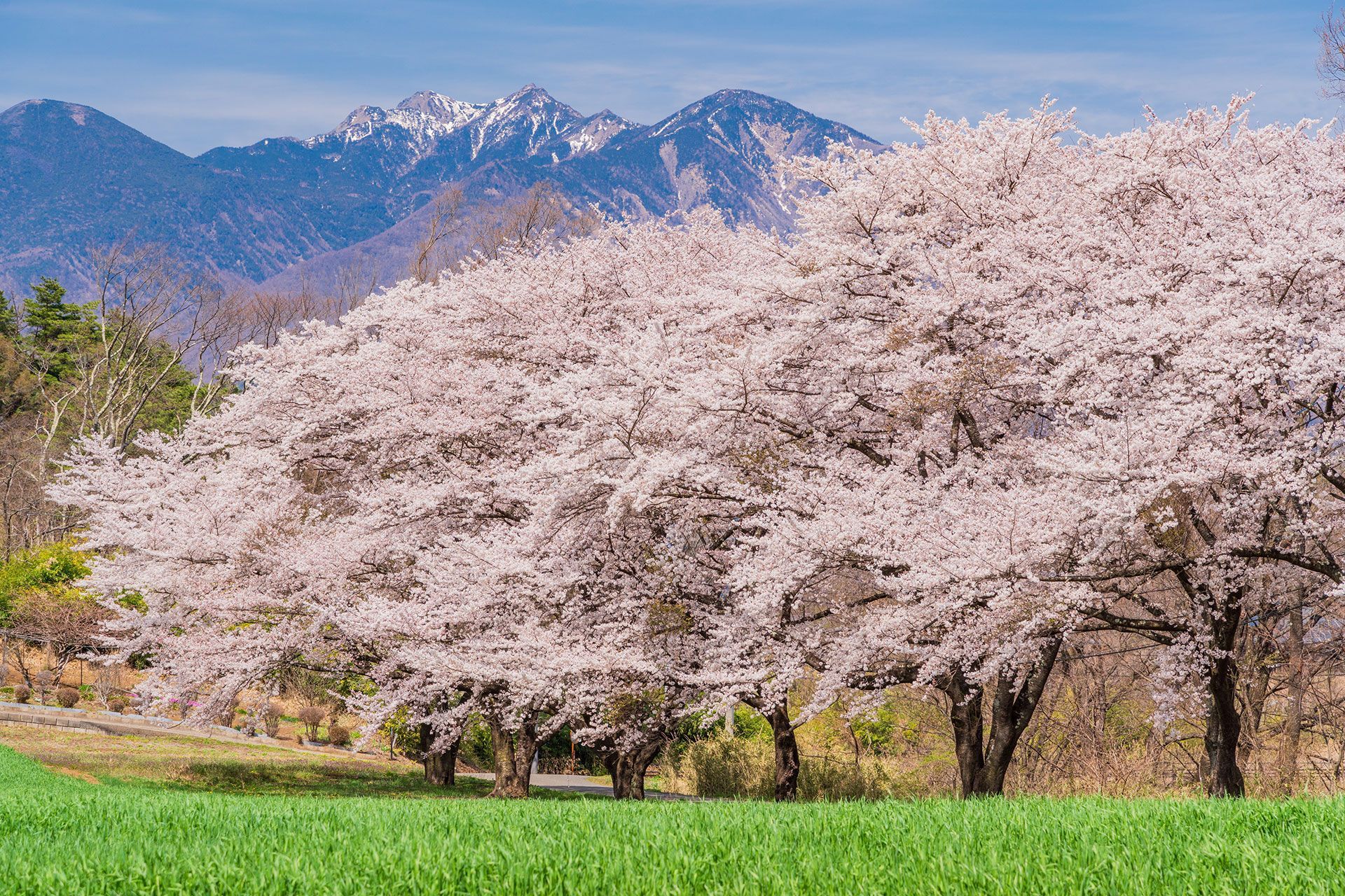 SPRING