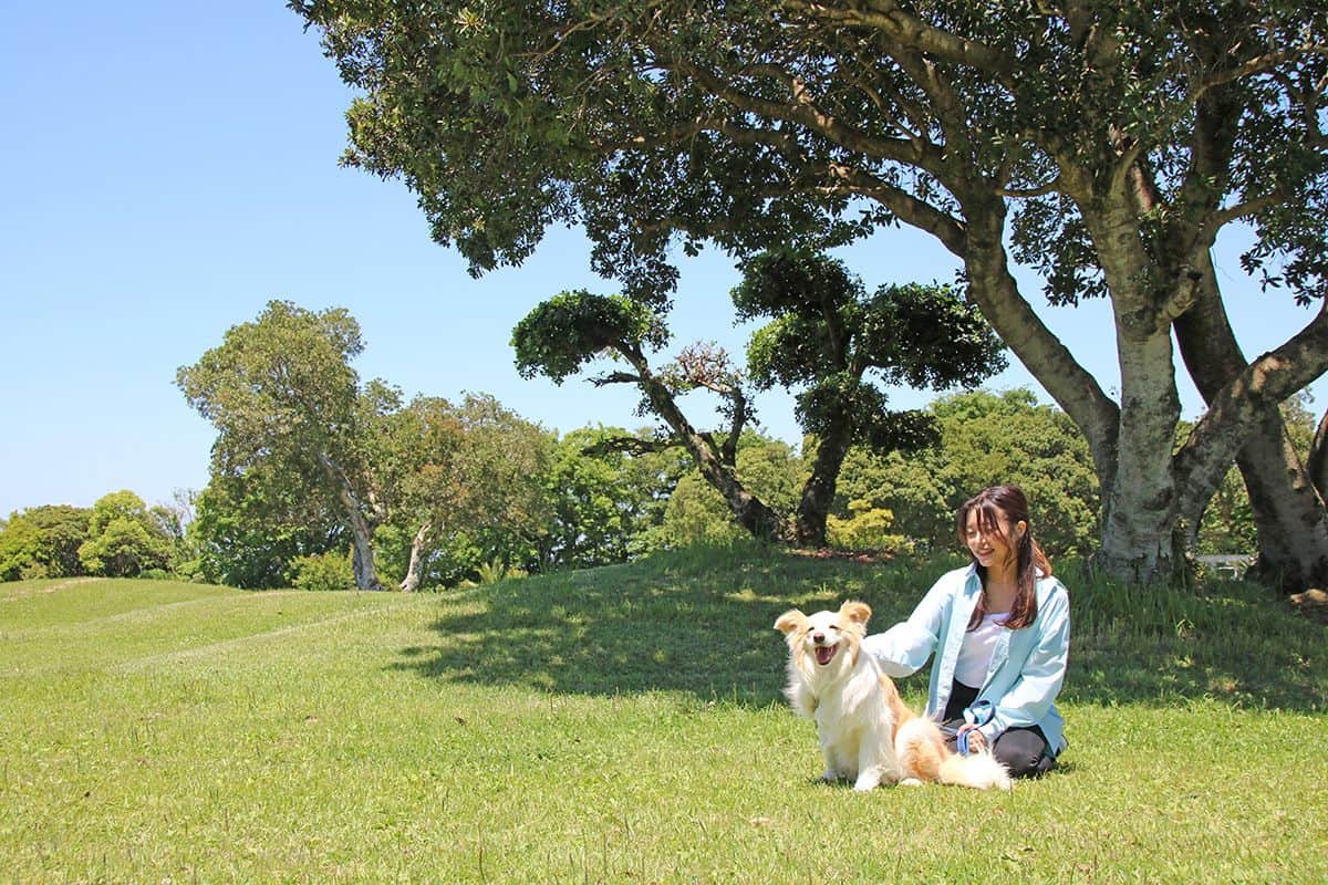 敷地内お散歩コース - 0