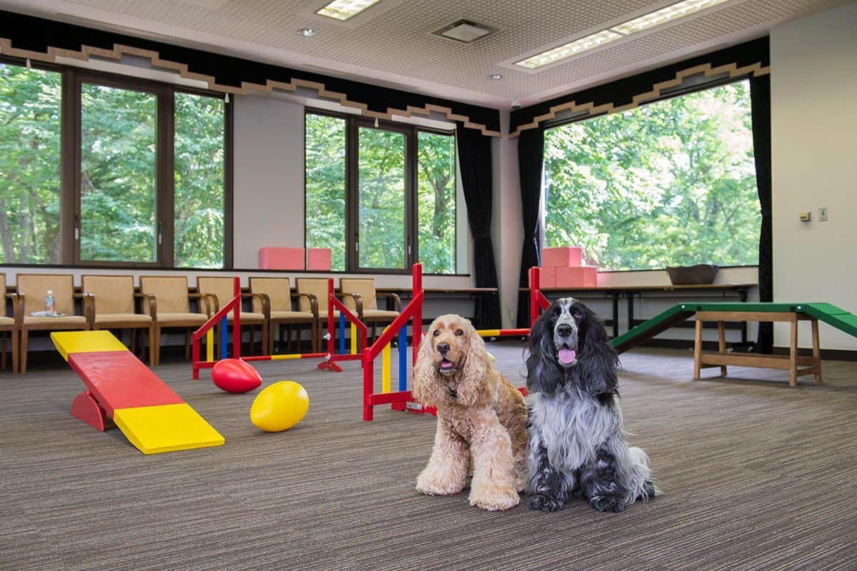 Indoor Play Space
